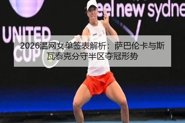 wen-wang-nv-dan-qian-biao-jie-xi-sa-ba-lun-ka-yu-si-wa-tai-ke-fen-shou-ban-qu-duo-guan-xing-shi-3-569.jpg