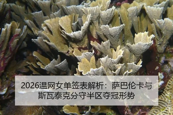 2026温网女单签表解析：萨巴伦卡与斯瓦泰克分守半区夺冠形势
