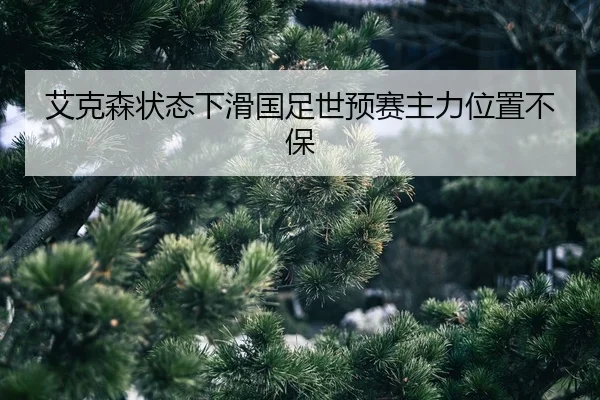 ai-ke-sen-zhuang-tai-xia-hua-guo-zu-shi-yu-sai-zhu-li-wei-zhi-bu-bao-3-248.jpg