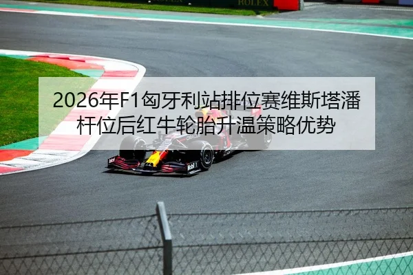 nian-xiong-ya-li-zhan-pai-wei-sai-wei-si-ta-pan-gan-wei-hou-hong-niu-lun-tai-sheng-wen-ce-lve-you-shi-2-322.jpg