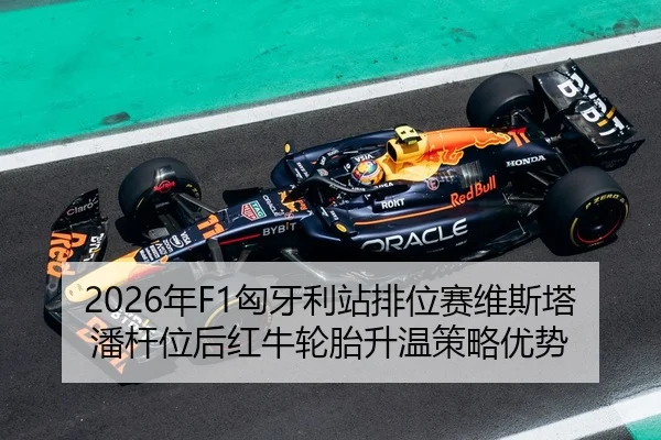 nian-xiong-ya-li-zhan-pai-wei-sai-wei-si-ta-pan-gan-wei-hou-hong-niu-lun-tai-sheng-wen-ce-lve-you-shi-3-784.jpg